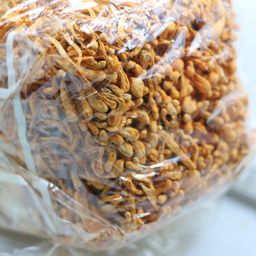 Fiore di cordyceps essiccato n - Soap Making Diy Kit recensione e prezzo