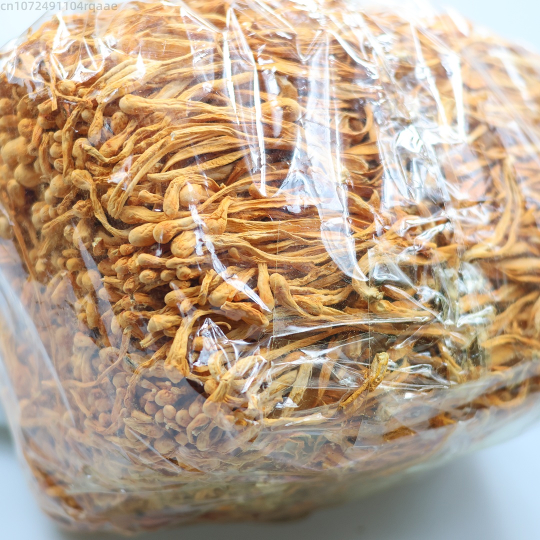 Fiore di cordyceps essiccato n - Soap Making Diy Kit recensione e prezzo